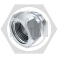 BSP Cap (Swivel)