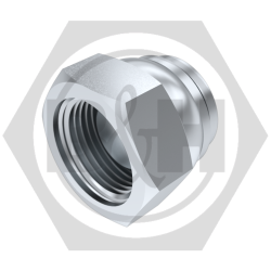 BSP Cap (Swivel)