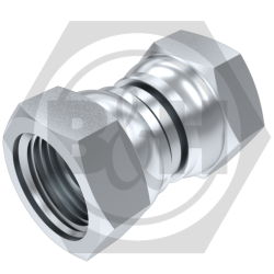 BSP Fixed Female Socket