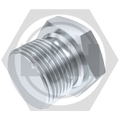 BSP Plug (Coned)