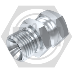BSP Swivel Female Adaptor